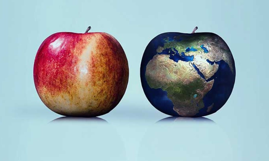 Estudo demonstra que a dieta que é boa para você também é boa para o planeta – e vice-versa!