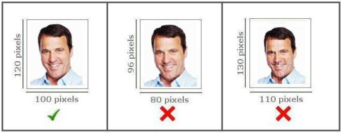 Inclusão de fotos no sistema